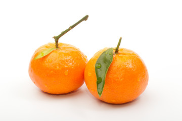 tangerines2