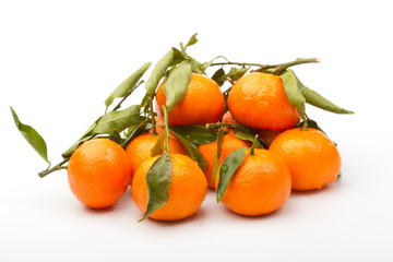 tangerines5
