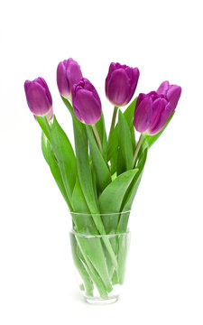 purples tulips in a glass