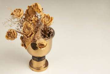 Dry roses in vase