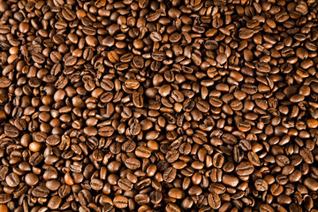 Fototapeta premium coffee bean background