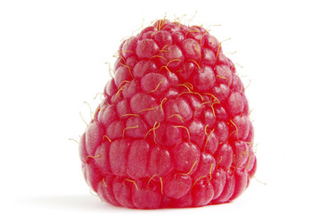 raspberry