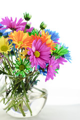 Colorful Daisies In A Vase