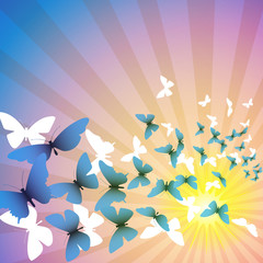 A Butterfly Background with Sunbeams