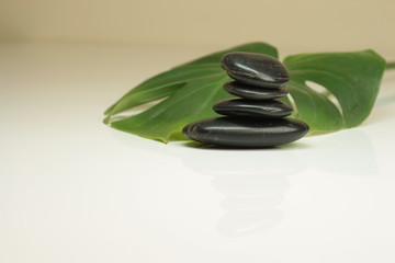 Hot Stones with a leaf