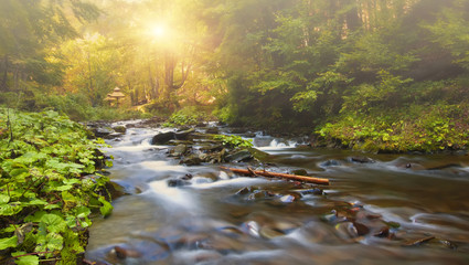 mountain river. misty morning