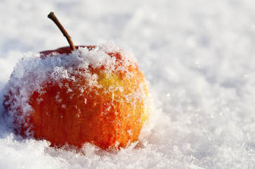 apple in to snow