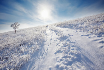 winter road to a sun