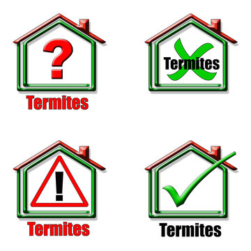 logo maison diagnostic termite