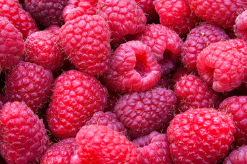 Delicious first class fresh raspberries