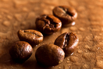 wet coffee beans