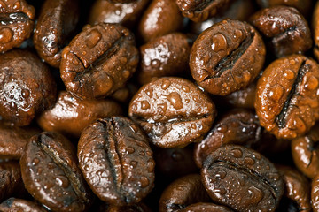 coffee beans