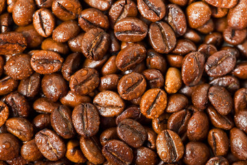 wet coffee beans