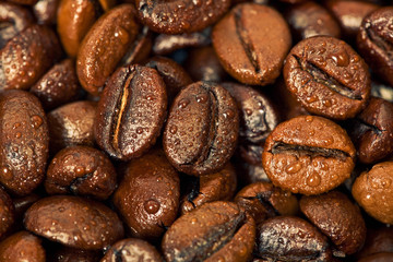 wet coffee beans