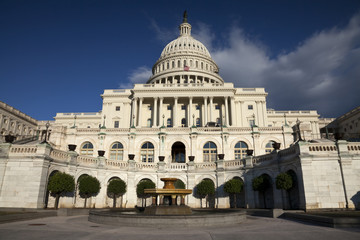 Fototapeta na wymiar The US Capitol