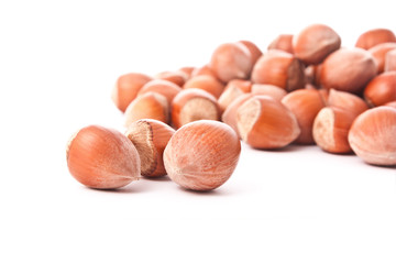 hazelnuts isolated
