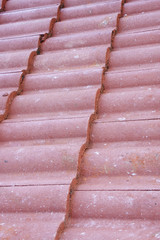 Curved Red Clay Ceiling Tiles