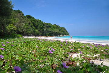 Paradise Beach at Ta chai Island