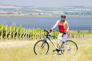 biker near vineyard, Nove Mlyny dam, Czech Republic