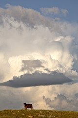 Fototapeta premium Storm clouds over Saskatchewan