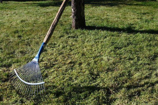 Lawn rake at a tree in the evening orchard