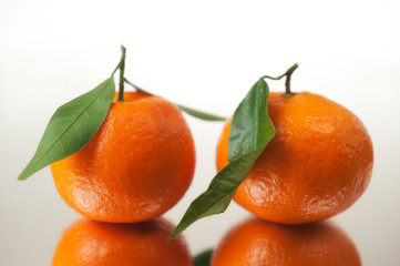 Tangerines Closeup