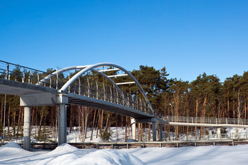Walking bridge in winter forest