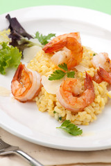 Shrimps Risotto