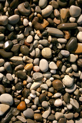 Wet pebbles on the shore