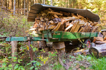Load of Firewood