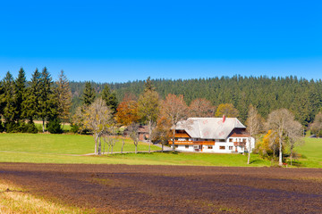 Typical Black Forest Farmhouse