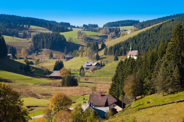 Black Forest Landscape