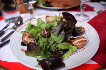 Snails