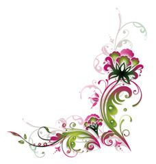 Obraz na płótnie Canvas Ranke, flora, filigran, Blumen, Blüten, pink, grün