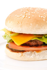 cheeseburger on the plate