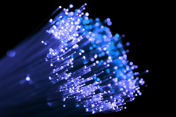 blue shining fiber optic