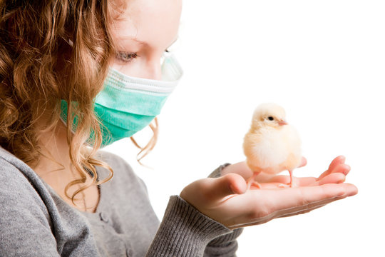 Girl Wearing Mas With Chicken On White Background