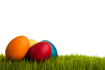Easter eggs on green grass on white isolated backgr
