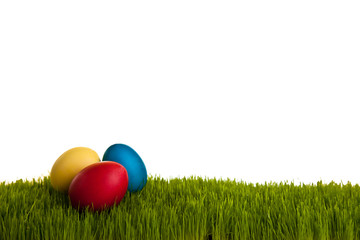 Easter eggs on green grass on white isolated backgr