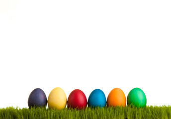 Easter eggs on green grass on white isolated backgr