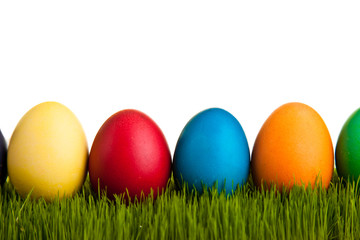 Easter eggs on green grass on white isolated backgr