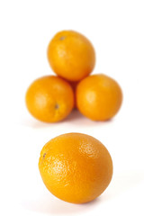 orange closeup