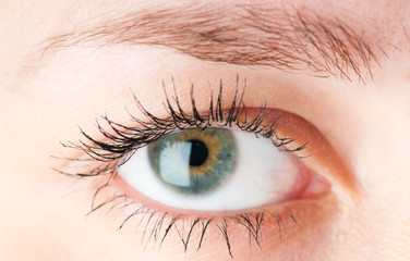 Obraz premium Human eye.