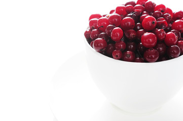 cupful of cranberries