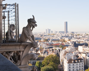 View of Paris from Notre Dame de Paris. France.