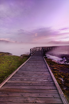 Ponton dans la brume