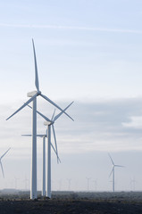 Fototapeta premium windmills