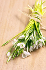 Bunch of snowdrops