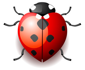 Heart form ladybird