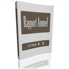 rapport annuel 3d